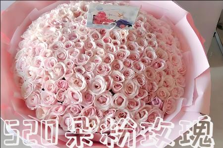 洛阳汝阳县哪里有花店
