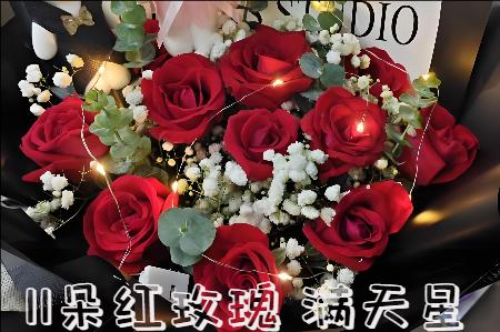 洛阳汝阳县哪里有花店
