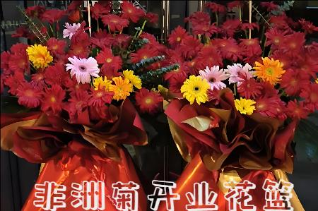 洛阳汝阳县开业花篮